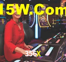 Premium Interface 356X